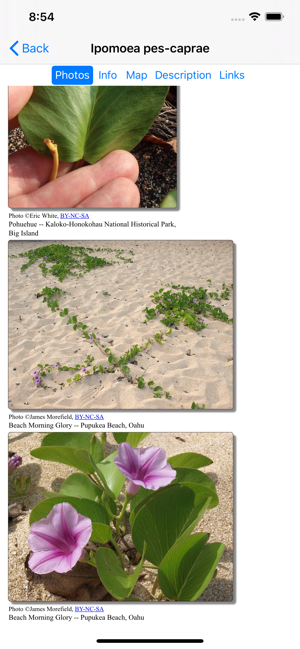 Hawaii Plants(圖4)-速報App