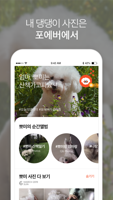 포에버 pawever - 나만의 반려견 맞춤 앨범 screenshot 3