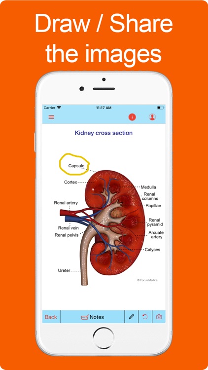 Silodal - Atlas of Nephrology screenshot-3