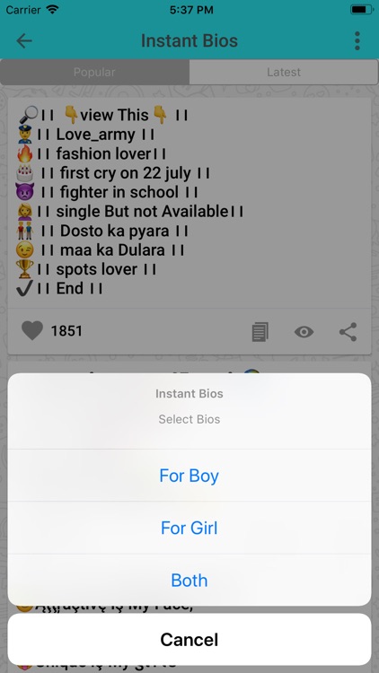 Instant Bios For Social screenshot-3