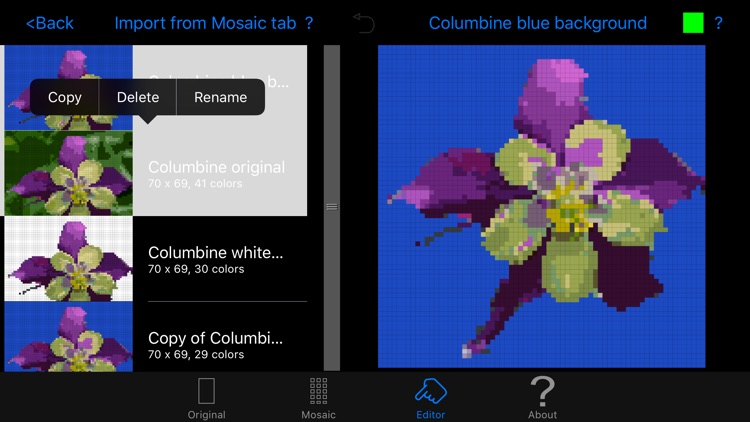 Color Hints Mosaic screenshot-4