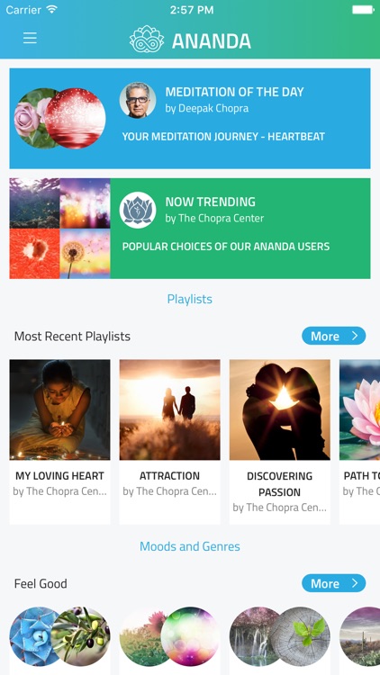 Ananda Personalised Meditation