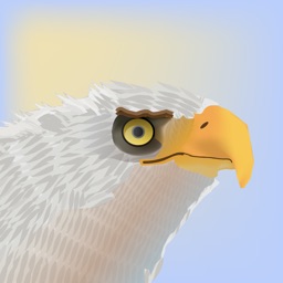 Eagle Escapade