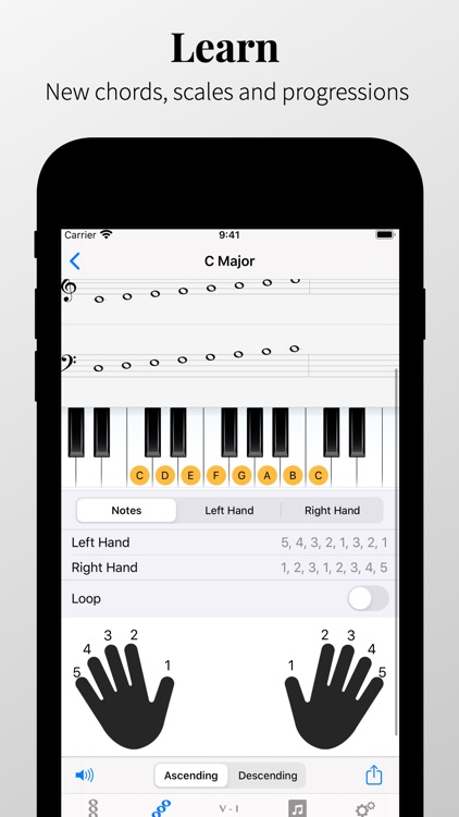 Piano Chords and Scales screenshot-3