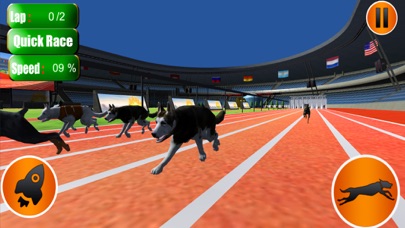 Dog Crazy Race Simulator 2023 screenshot 4