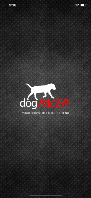 Dog Pacer