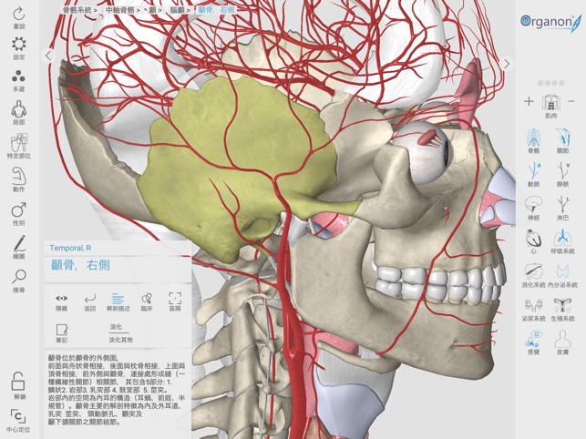 3D Organon Anatomy Enterprise(圖3)-速報App