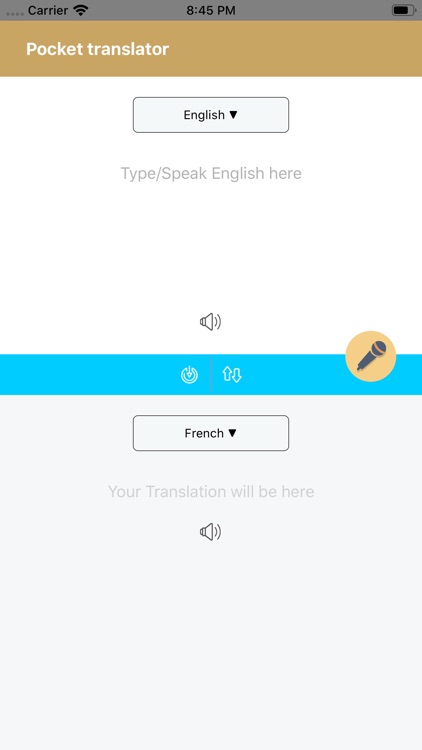 Pocket translator