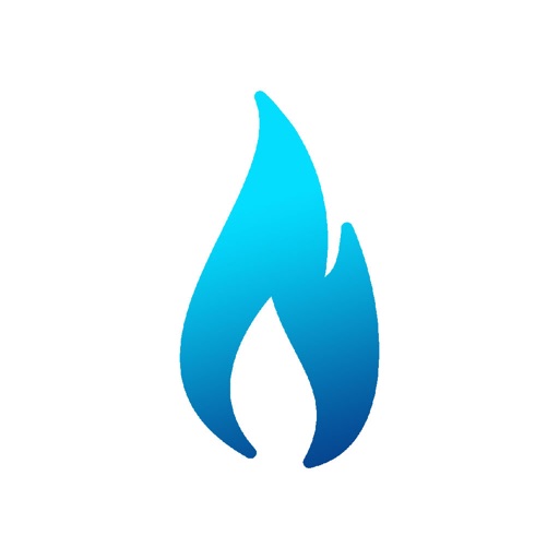Gas Basics Pro icon