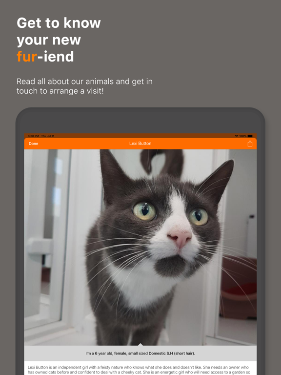 Screenshot #6 pour EDCH: Edinburgh Dog & Cat Home