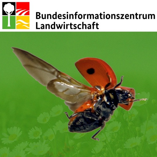 Nützlinge im Garten