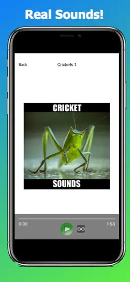 Game screenshot Crickets Sounds! Insect Sounds hack