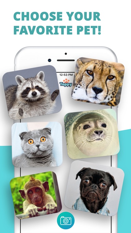 Toppy - My Talking Animals Pro