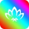 This App can control the magic lights