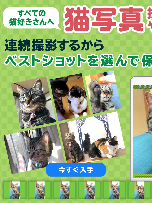 撮る猫 をapp Storeで