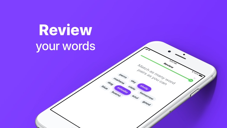 iTranslate Lingo screenshot-4