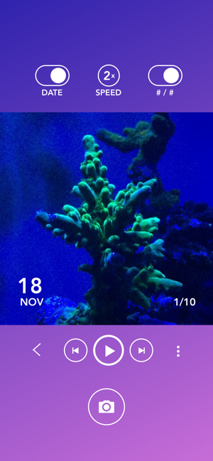 Aquarium Time(圖3)-速報App