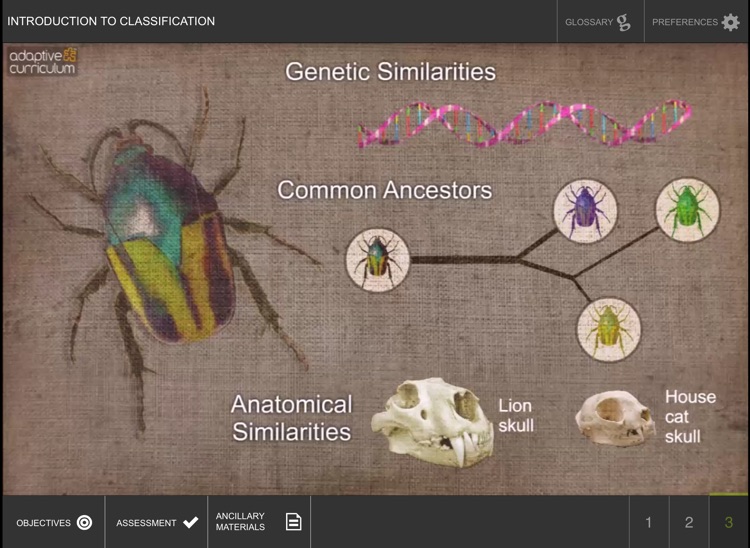 Introduction to Classification screenshot-3