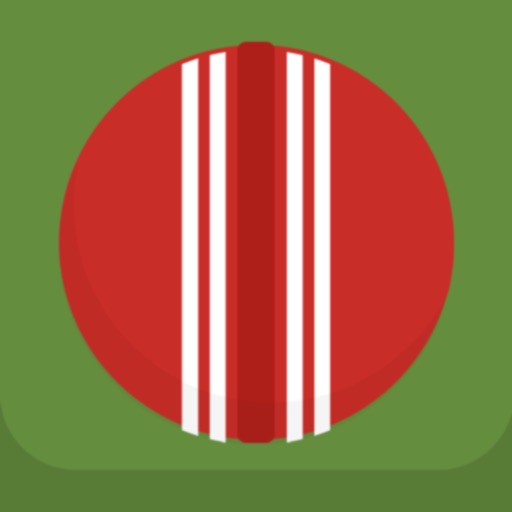 Cricket Practice Icon