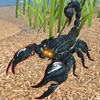 Scorpion Simulator Insect Life
