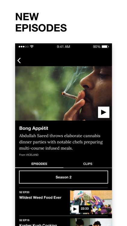 VICELAND