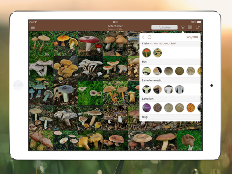 Mushroom LITE - Field Guide screenshot 2