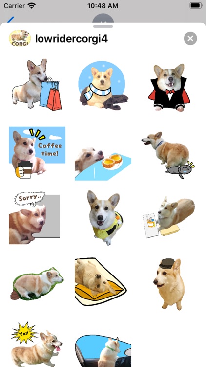 Fluffy cute Corgi Stickers