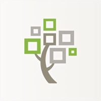  FamilySearch Arbre Application Similaire