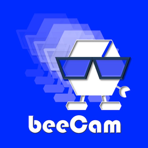 beeCam Easy連写