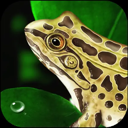 Frog Dissection Читы