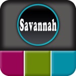 Savannah Offline Map Explorer