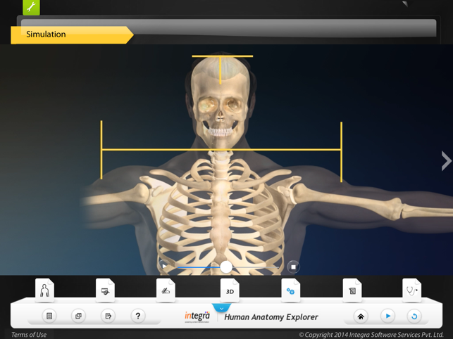 Human Anatomy - Skeletal(圖5)-速報App