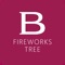 Bvlgari celebrates the holiday season in Singapore with the BVL - FIREWORKS App that allows you to light up the world’s first interactive FIREWORKS TREE installation at ION Orchard