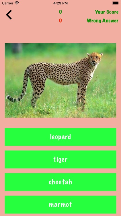 Basic Animal Quiz Game screenshot-3