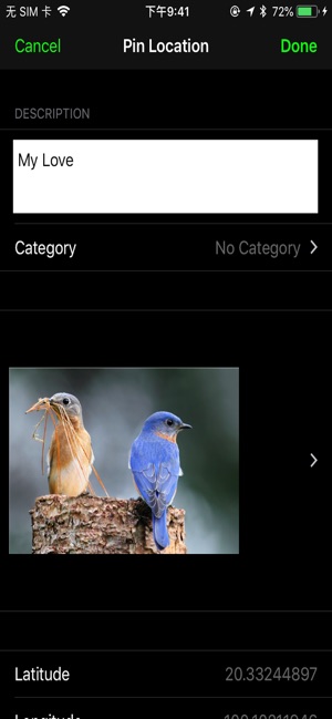 Observing birds(圖3)-速報App