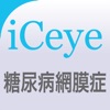 iCeye 糖尿病網膜症 - iPadアプリ