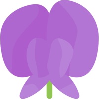 FlowersHi sur PC