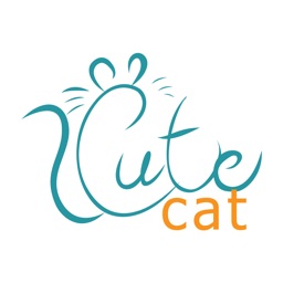 cute cat store