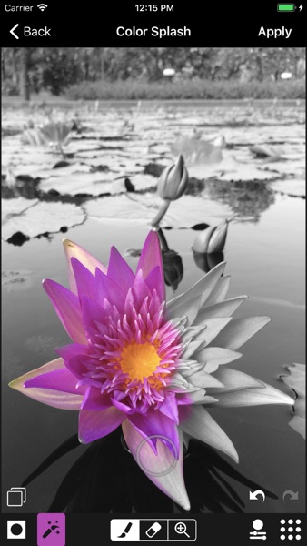 【图】ACDSee(截图3)