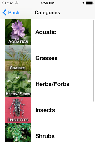 Outsmart Invasive Species - náhled
