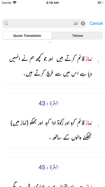 Bayan ul Quran - Tafseer screenshot-4