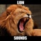 Lion Sounds and Effects provides you lion sounds, lion sounds, lion, lions sounds, lion sound effects at your fingertips