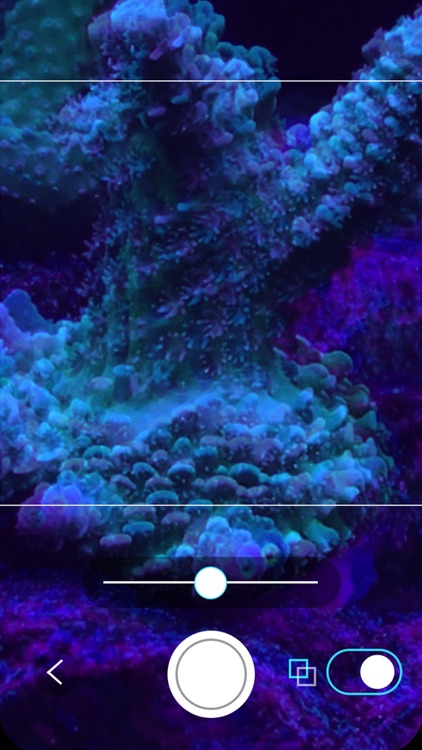 Aquarium Time screenshot-5