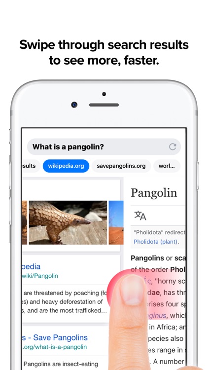 Cake Fast, Private Web Browser