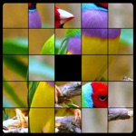 Slide Puzzle Title
