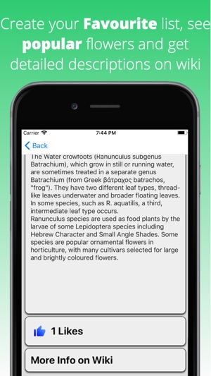 Flowers Dictionary Pro(圖3)-速報App