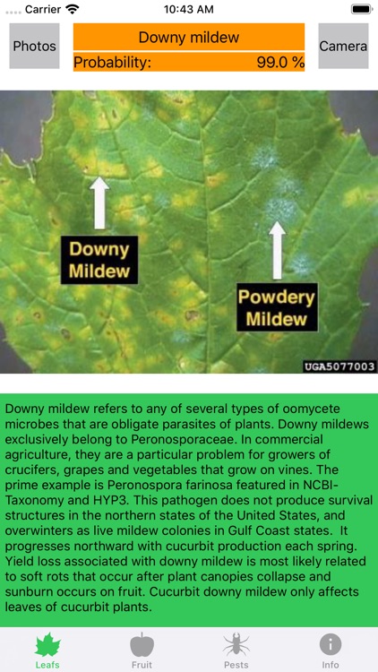 Plant diseases and pests