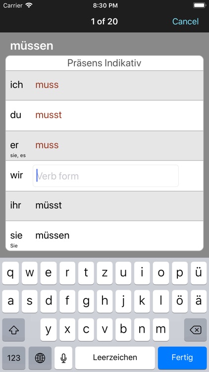 German Verbs & Conjugation screenshot-5
