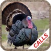 Turkey Hunting Calls -