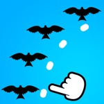 Birds Move
